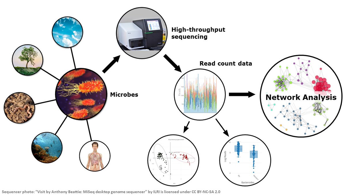 1/4 High-throughput sequencing techniques allow for investigating microbial communities in their natural habitats. Besides common #CompositionalData analysis methods, #NetworkAnalysis has gained considerable attention in recent years.

#YoungScientistsHMGU