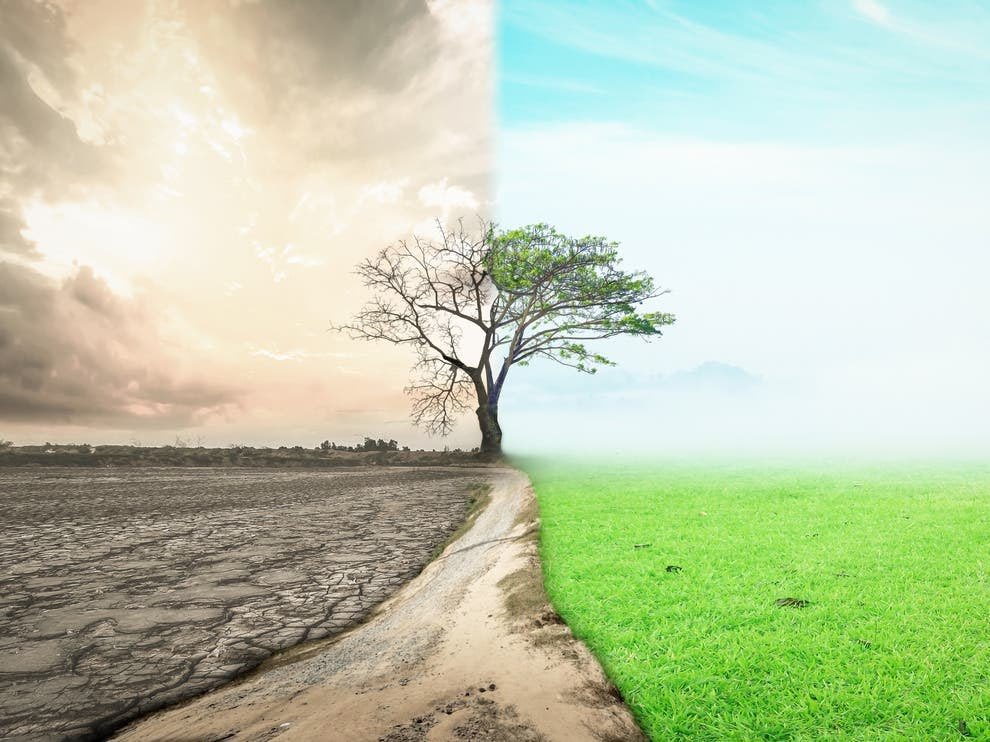 #EarthDay2021 
Is your home as energy efficient as it could be?
Insulating your home will reduce your carbon footprint.
Contact us today 0800 7833128 to see how we can help you 
#RestoreOurEarthChallenge