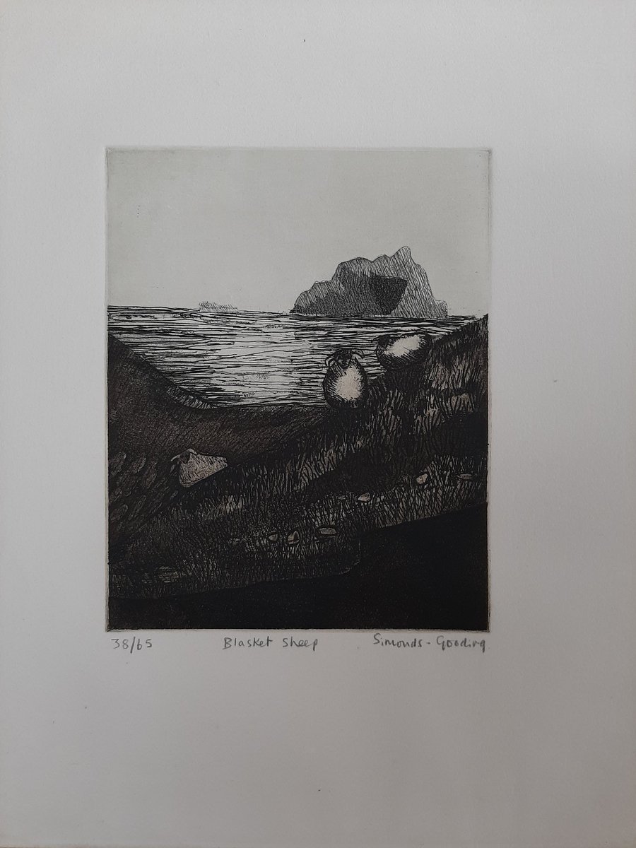 paperworksliz's tweet photo. @KatyPaper You have made my day 🙂. I love her work and actually did some conservation work for #mariaSimondsGooding. I have two pieces of hers hanging in my kitchen and I am about to start work on this print "Blasket Sheep". The framed ones are mine (couldn't avoid the reflections 🤷‍♀️ ) https://t.co/qjkITB2AIe