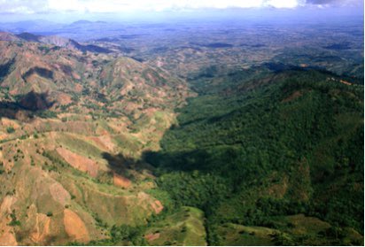 1/ Five years ago on Earth Day I published a research blog post with a provocative title—‘Haiti is Covered with Trees’. https://www.envirosociety.org/2016/05/haiti-is-covered-with-trees/