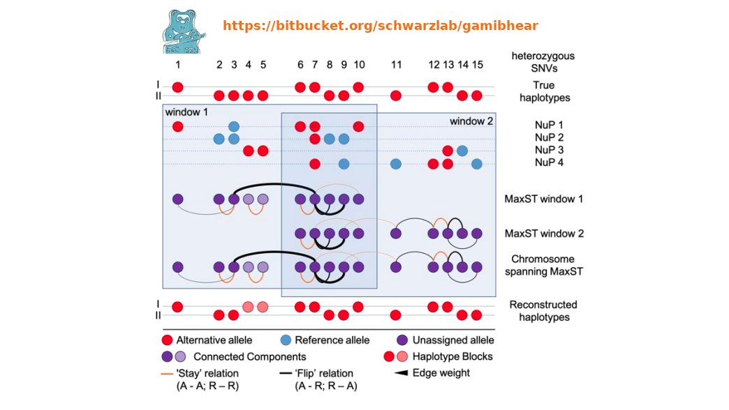 Bioinformaticx's tweet image. GAMIBHEAR: whole-genome haplotype reconstruction from Genome Architecture Mapping data

doi.org/10.1093/bioinf…

#Bioinformatics 
#Bioinformaticx