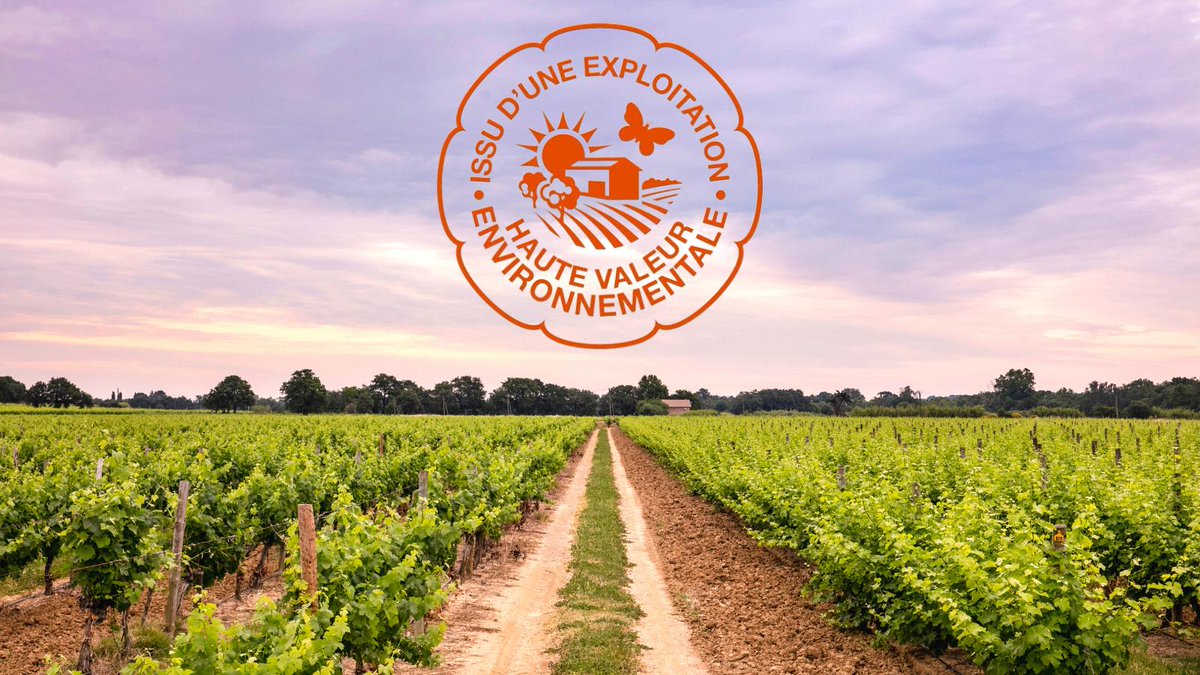 Ruth Simpson tweet media