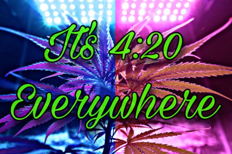 Këysër S Doolan tweet media