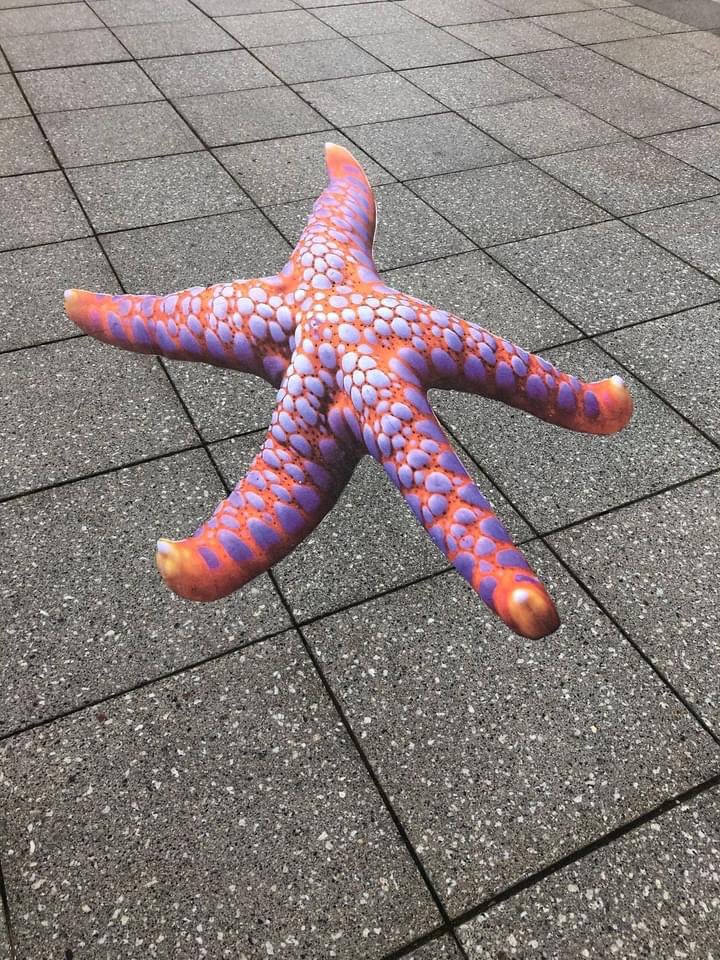 The Print Agency tweet media