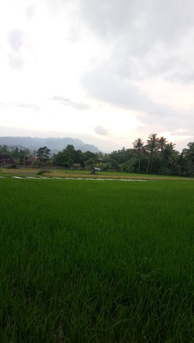 MAS NOEL (@rifqilatif_) on Twitter photo 