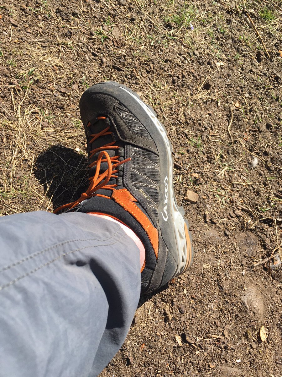 Pete Summers tweet media