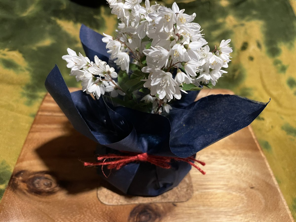 樹と花と Twitter Search