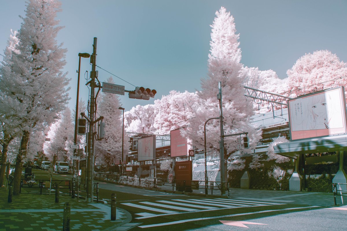 原宿を特殊なカメラ越しに見たら幻想的だった