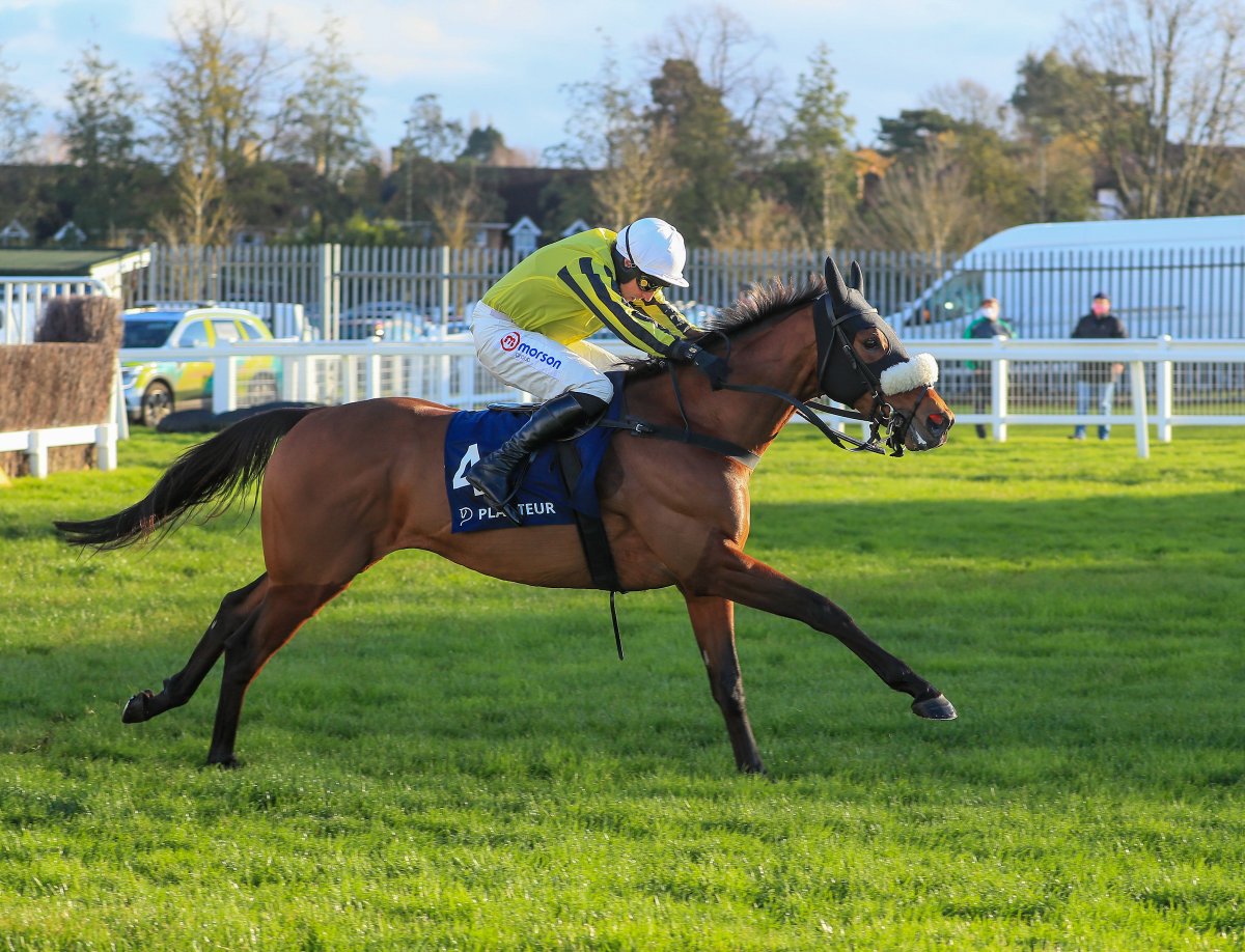 Tingle creek betting 2022 Tingle creek betting 2022 mayo clinic dash diet