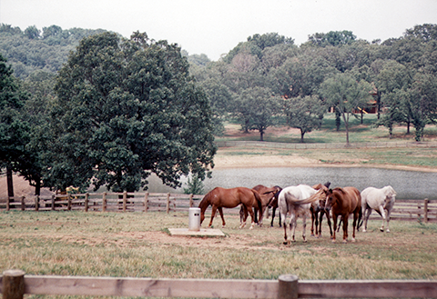GH2Equine's tweet photo. We designed this master plan and facilities for a breeding farm in Arkansas that included a 10-stall barn with tack and feed rooms, foaling stalls, veterinary area, office, and lounge. All of the buildings on site utilize native stone and timber to tie into the Ozarks region. https://t.co/YOFsmFeIMS