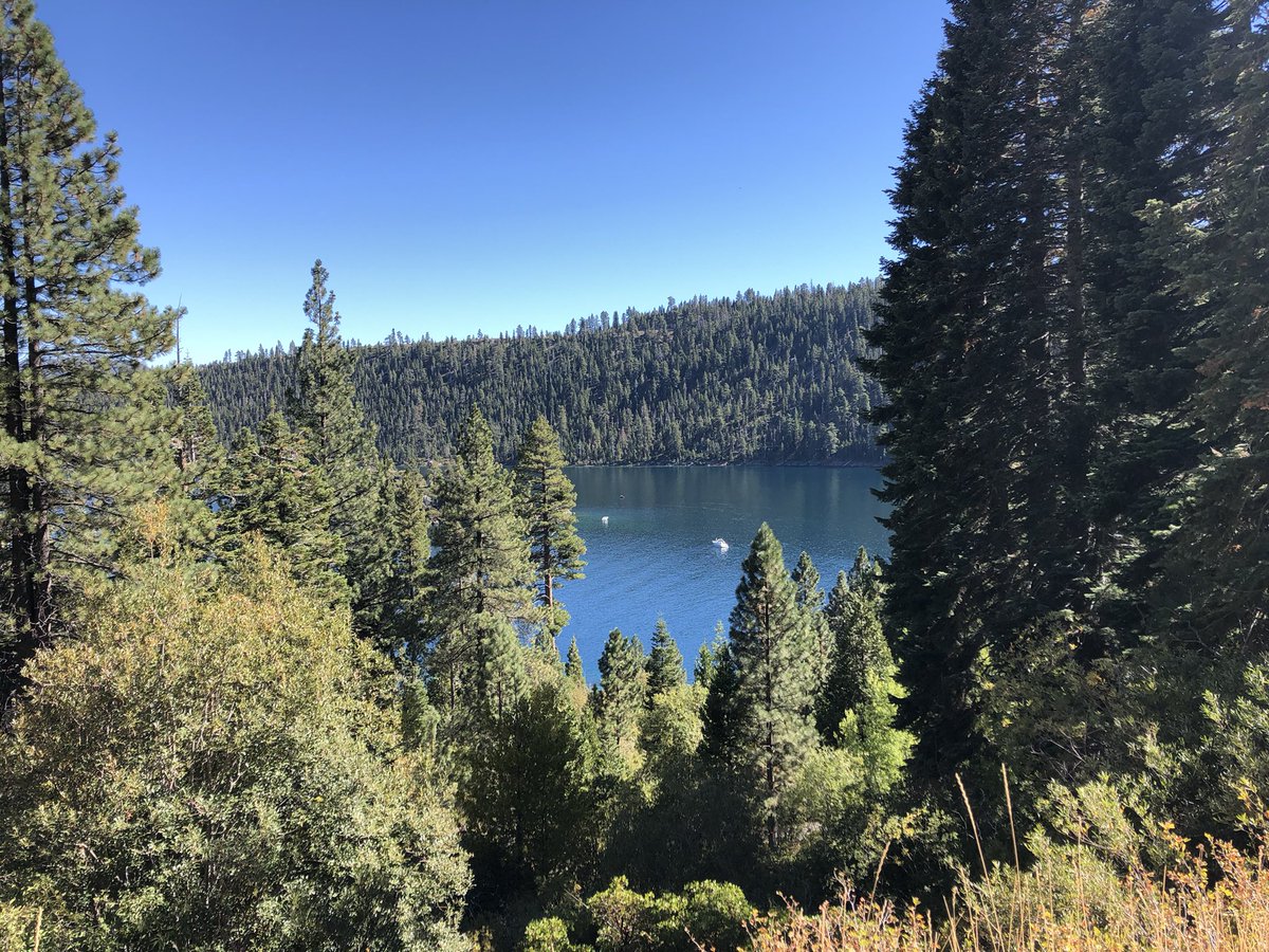 Always looking so pretty ✨💚 #earthday