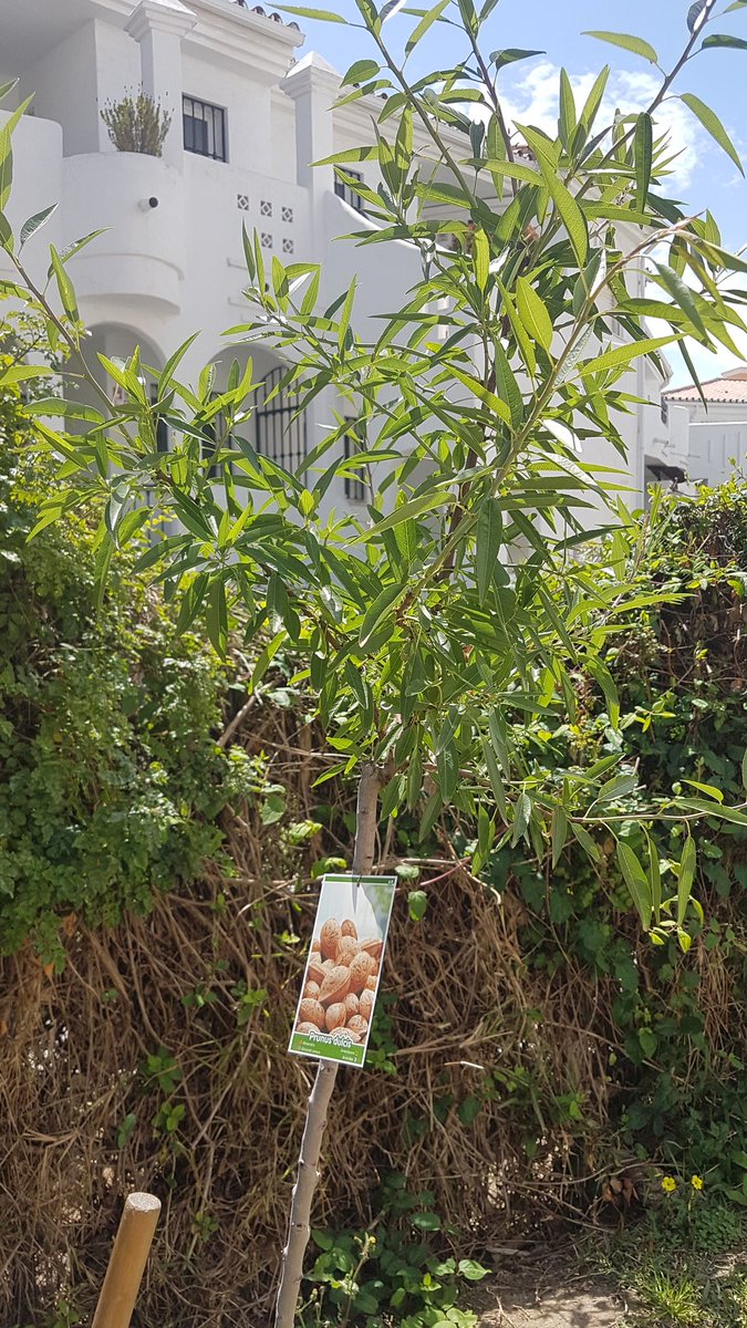 Caroline Hanssen tweet media