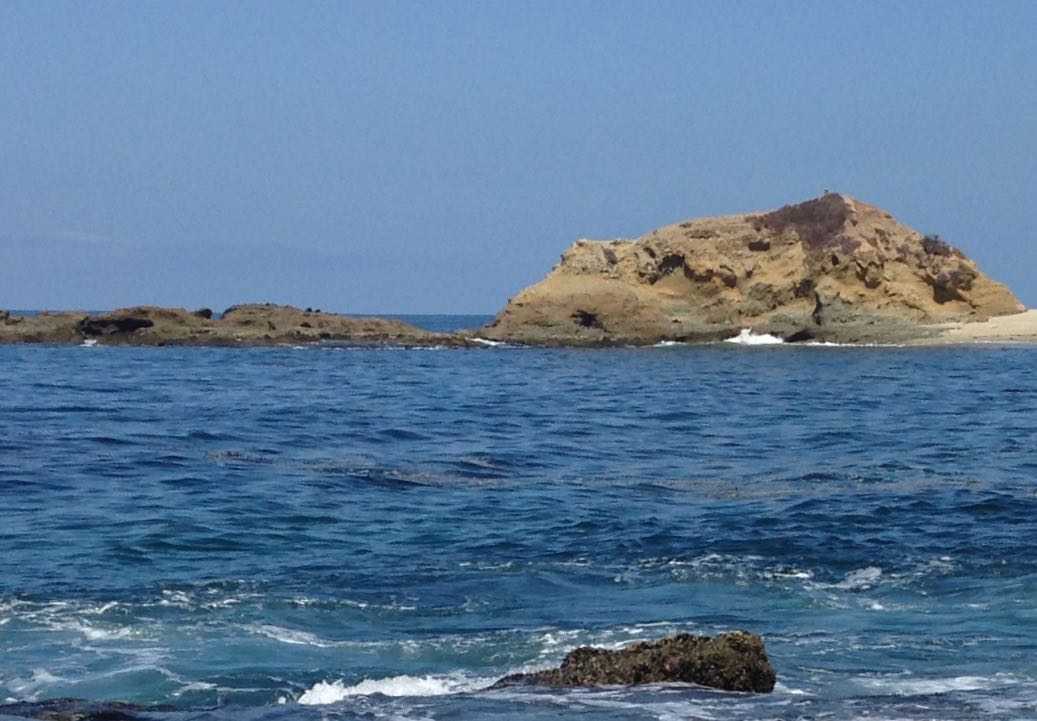 Oceanography Society tweet media