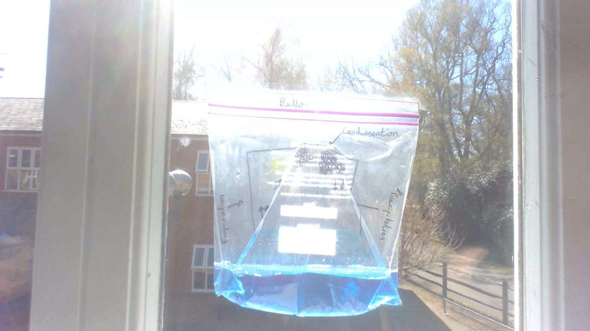 Y5 have been recapping their learning from Y4 to kick off their new topic: beachcombers. They created water cycles in sandwich bags and are hoping to observe them evaporate, condense and precipitate! #scienceinaction <a href="/FrenshamHeights/">Frensham Heights</a> <a href="/FrenshamScience/">FrenshamScience</a>