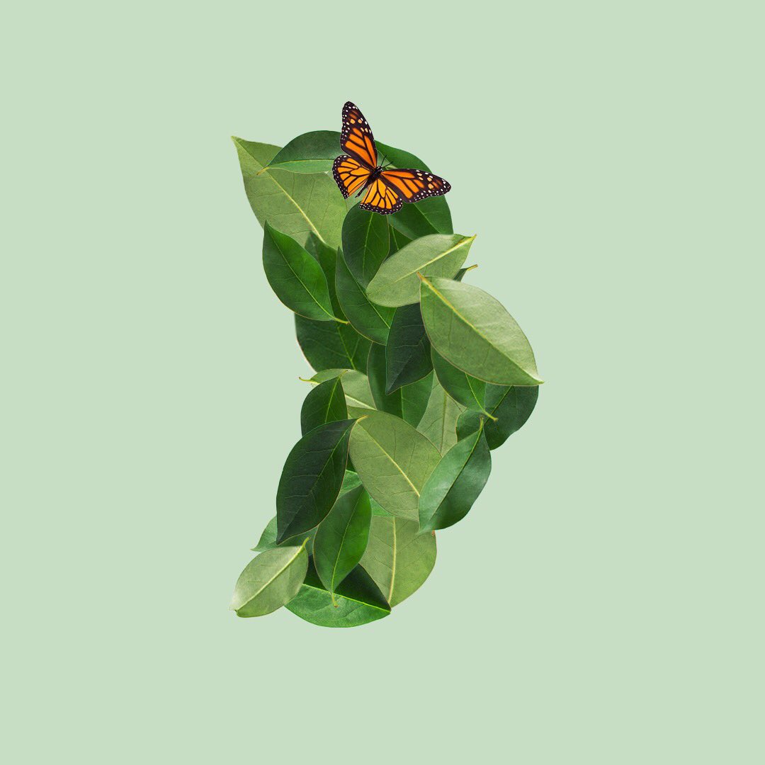Barker_Agency's tweet photo. Wishing a very Happy Earth Day to all the abandoned plants at 30 Broad Street. Thanks for holding down the fort and for surviving on very minimal water. https://t.co/HZCvbOxn4z