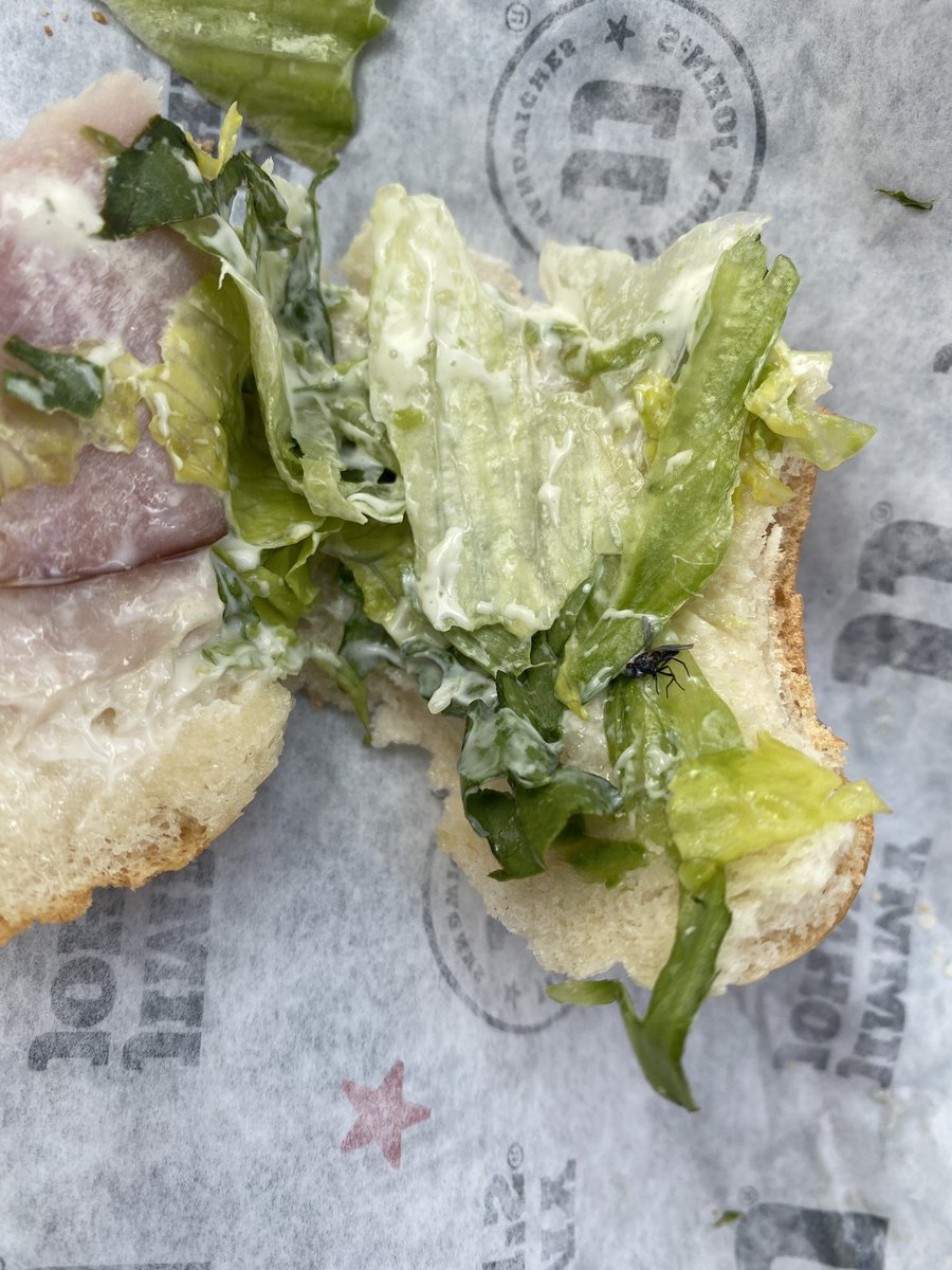 ItsKayti's tweet image. Cool thanks for the little bit of extra protein in my sandwich @jimmyjohns 🤮