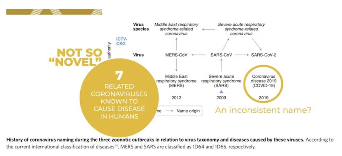 The Lie: That this virus is “Novel” — (Day 1)-Health officials and WHO Director-General repeatedly claimed this was a NOVEL virus.The Truth:-There are at least 7 related coronaviruses known to cause disease in humans.