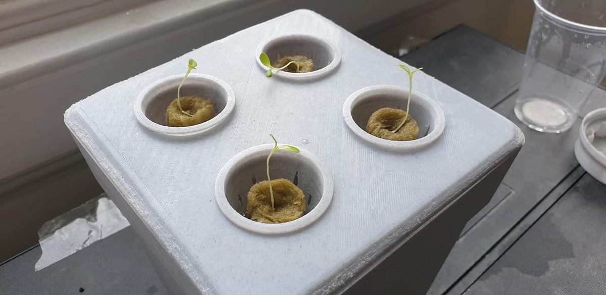 gro_hy's tweet photo. Watching the seedlings grow into giant lettuce has been an amazing journey, and proven the Hy-Gro can make growing larger, healthier plants; easier. #hygrohydroponics #hygro #hydroponics #grow #plants #environment
#selfsustainability #nature #science #indoorgardening #urbangarden https://t.co/56YjYN0I6W