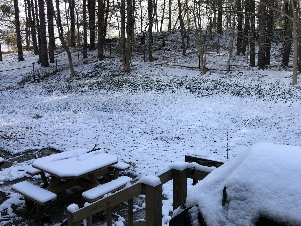 AndrewTV's tweet photo. Woke up to another snowy morning. I literally flew over the storm yesterday coming home from Buffalo. Hopefully this will be my last snowstorm of the season!
#TimeForSpring #BuffaloInTheBerkshires https://t.co/Tt58vfQ7h5
