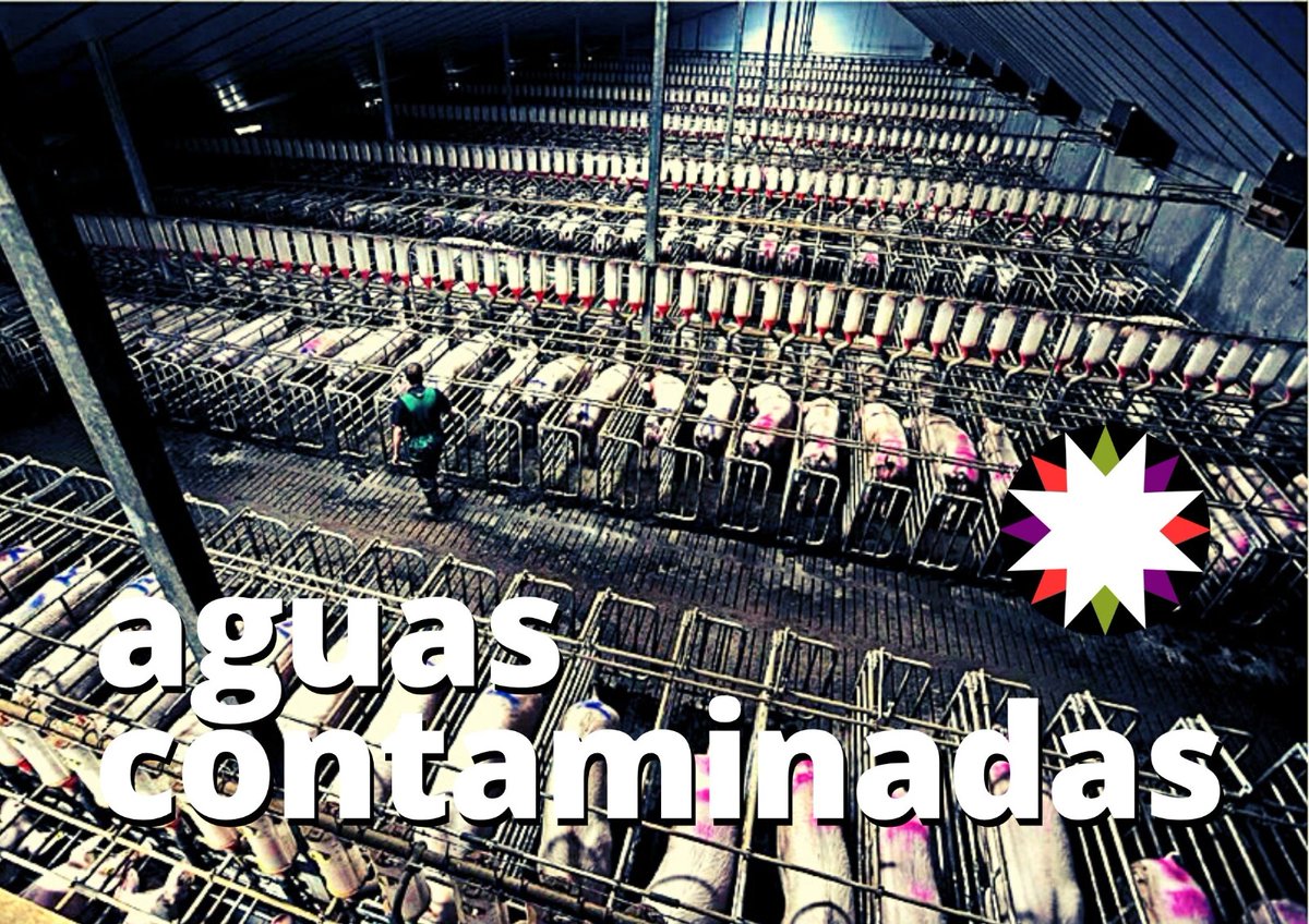 Rechazamos un modelo de desarrollo basado en la ocupación del territorio con mega proyectos que deterioran la calidad de nuestras aguas y que en caso de generar empleo éste es de mala calidad.

#AragónNoSeVende