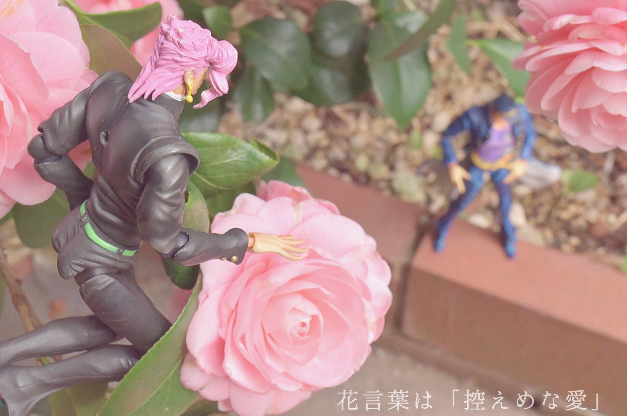 てん子 みんな大好き承花 花言葉シリィーズ 過去撮影 T Co M5rmeuhc3i Twitter