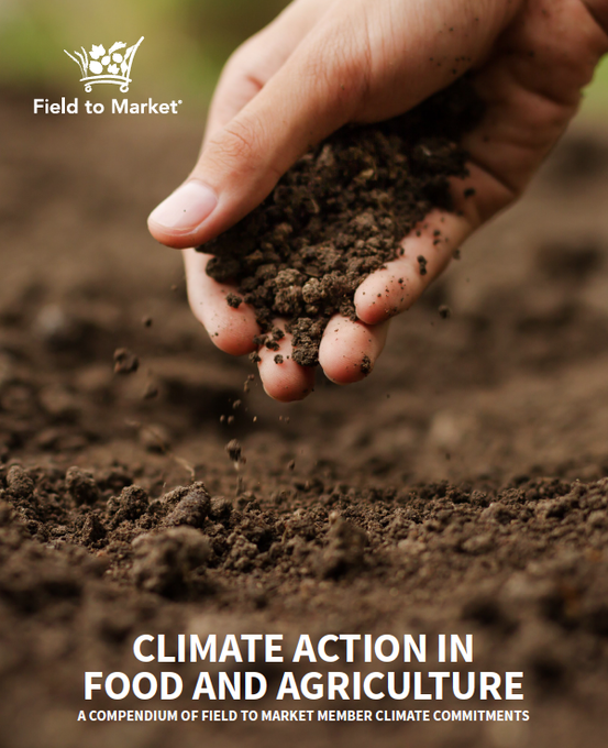 Ctic Ctic Tweet Twitter