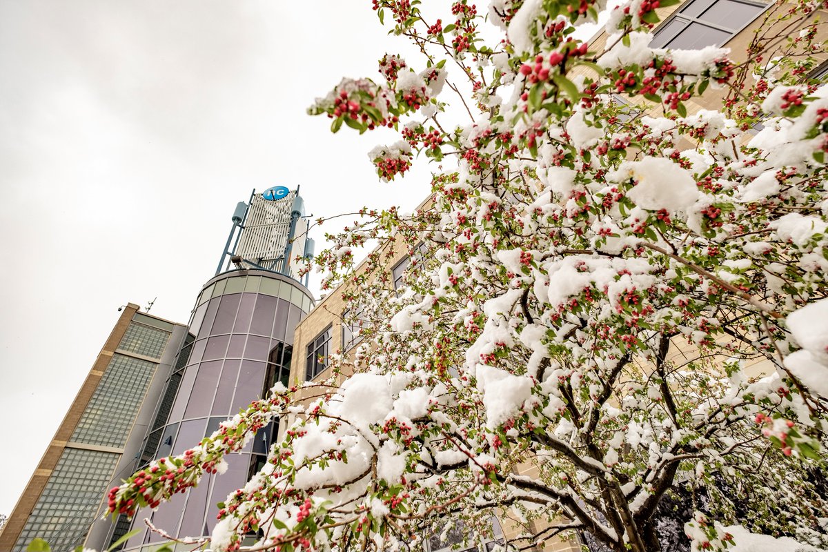 Happy #EarthDay, Niagara 🌎. It's still looking a little wintry out there, but get out there an enjoy nature.

For a full list of virtual Earth Week events organized by Niagara College Sustainability please visit ⬇️
sustainability.niagaracollege.ca/events/