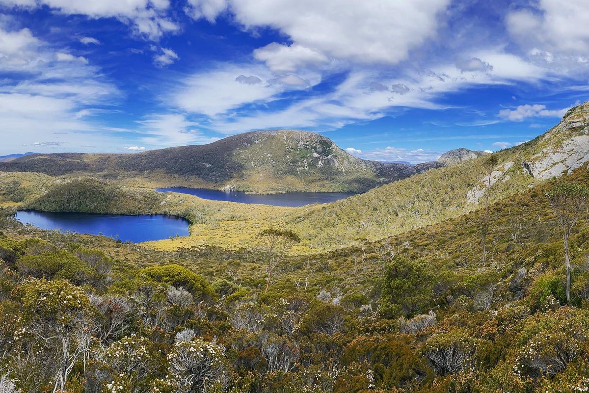 Robert Irwin tweet media