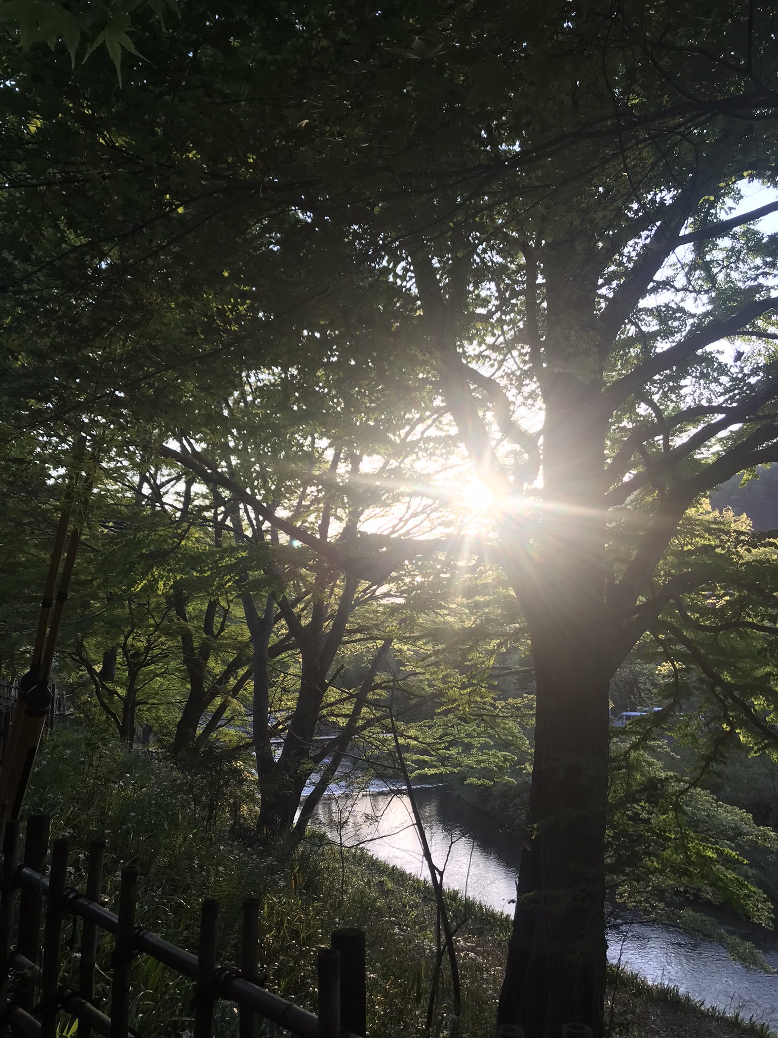 N Oki ロットングラフティー まもなく 春の木漏れ日の 週のど真ん中に打ちたてよう まもなく居酒屋610 22 00 T Co 7mrsc6ivxl 居酒屋610 T Co Klqe6rprgx Twitter
