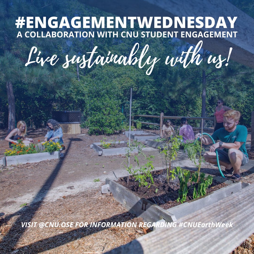 Happy Earth Day! Did you know, CNU hosts a community garden with plots to grow produce right here on campus? 

Celebrate #CNUEarthWeek hosted by CNU Sustainability. Visit cnu.ose and cnusustain on Instagram for more info!