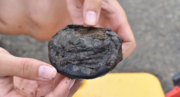 Lors des fouilles archéologiques menées en 2018, dans le centre de Moissac, par l’ @UTJeanJaures  @umr5608_traces, un curieux objet en cuir contenant des fibres végétales a été mis au jour.