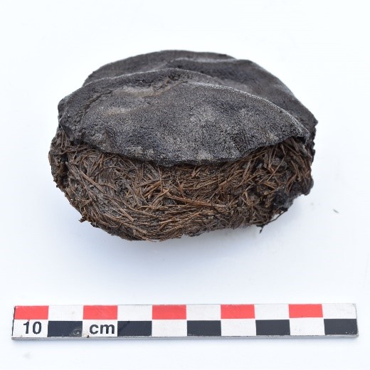 L'objet, découvert dans une fosse datée du XIIIe siècle, avait alors été identifié comme étant une balle.