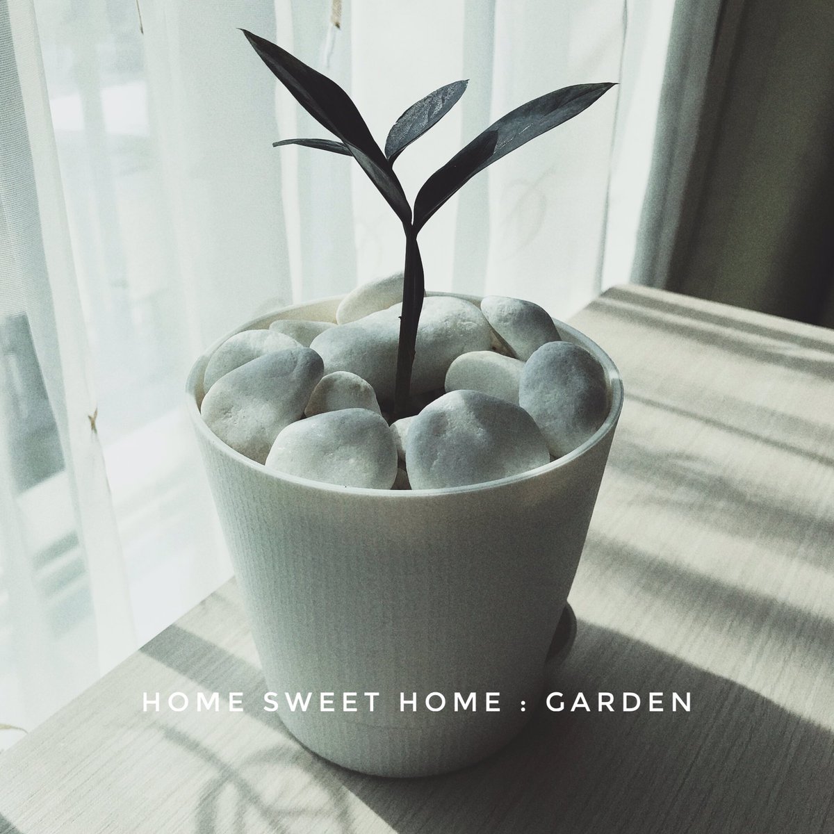 ฉันดีใจที่มีเธอ tweet media