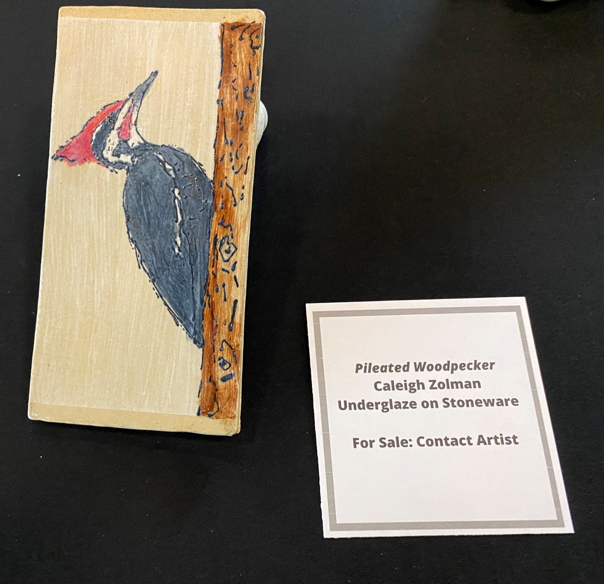 Cope Environmental tweet media