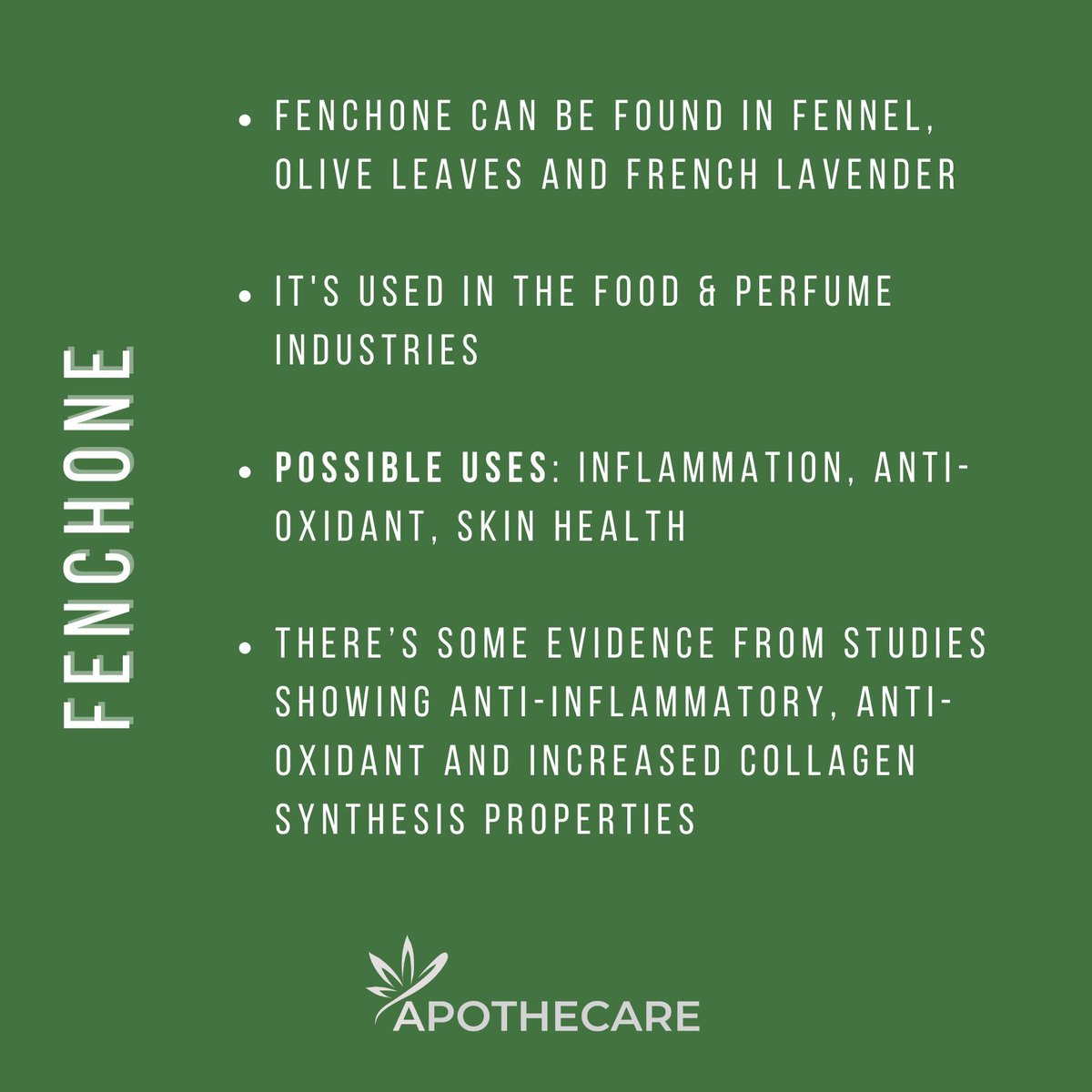 ✨ Fenchone can be found in fennel, olive leaves and French lavender. Possible uses: inflammation, anti-oxidant, skin health.
✨There’s some evidence for: anti-inflammatory, anti-oxidant and increased collagen synthesis properties
#terpenes #terpenefacts   #cannabiseducation