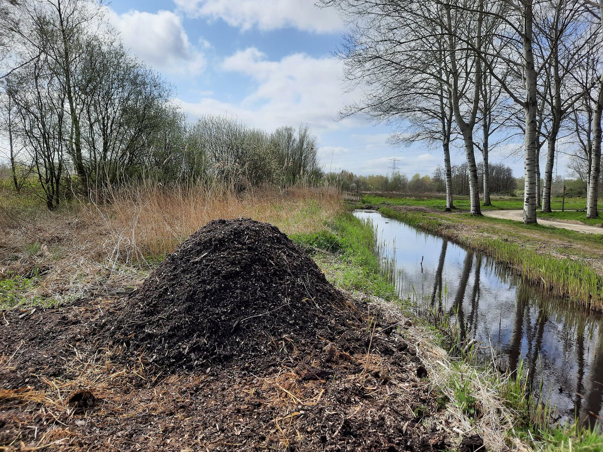 Dit is toch wel de mooiste broeihoop van het #Diemerbos, gemaakt met hulp van Willemijn van <a href="/VroegeVogels/">Vroege Vogels</a> TV. Misschien 4 juni op TV te zien hoe we met kruiwagens paardenmest sjouwden. En natuurlijk met ringslangexpert Pieter en boswachters Roderick en <a href="/AnneVoorbergen/">Anne Voorbergen</a>