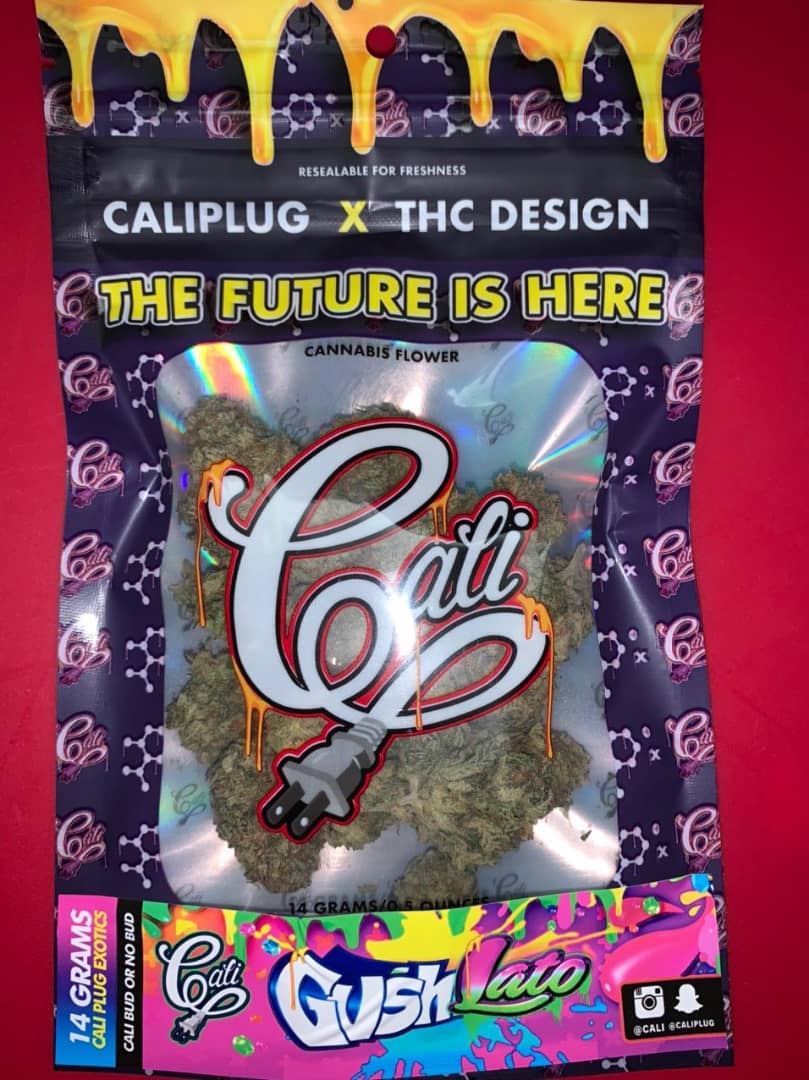Roy78293873's tweet photo. Cali packs avail https://t.co/Cy6JdgbaNK