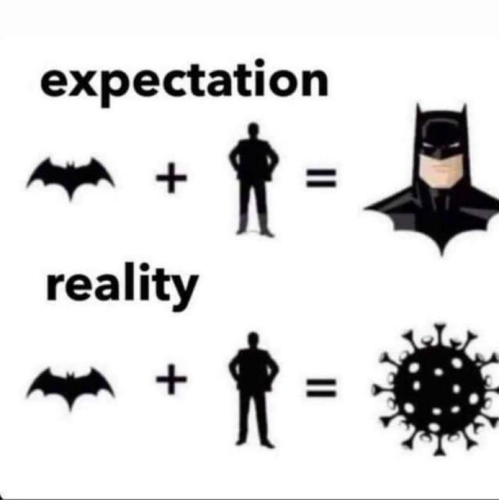 vlogset_com's tweet image. #Expectations Vs #Reality