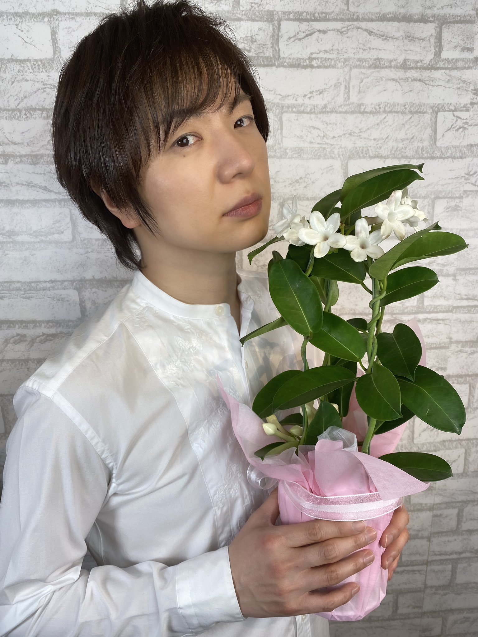 تويتر 竹島宏スタッフ 公式 على تويتر マダガスカルジャスミン 花言葉は 清らかな願い 可愛い花が届きました 原産地は マダガスカル とてもいい香りがします 今日も１日お疲れ様でした ひろネット 花便り 花言葉 花 花を贈ろう マダガスカル
