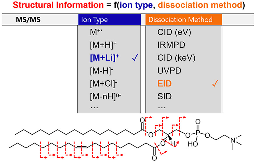 ACS Analytical Chemistry Journals (@an_chem) on Twitter photo .<a href="/juliaR_bonney/">Julia Bonney</a> and <a href="/BoonePrentice/">Boone Prentice</a> from <a href="/PrenticeLabUF/">Prentice Lab UF</a> at <a href="/UFChemistry/">UF Chemistry</a> offer a FUN-damental perspective on the various emerging #MassSpec technologies that enable lipid structural elucidation! pubs.acs.org/doi/10.1021/ac⦠.<a href="/juliaR_bonney/">Julia Bonney</a> and <a href="/BoonePrentice/">Boone Prentice</a> from <a href="/PrenticeLabUF/">Prentice Lab UF</a> at <a href="/UFChemistry/">UF Chemistry</a> offer a FUN-damental perspective on the various emerging #MassSpec technologies that enable lipid structural elucidation! pubs.acs.org/doi/10.1021/acā¦