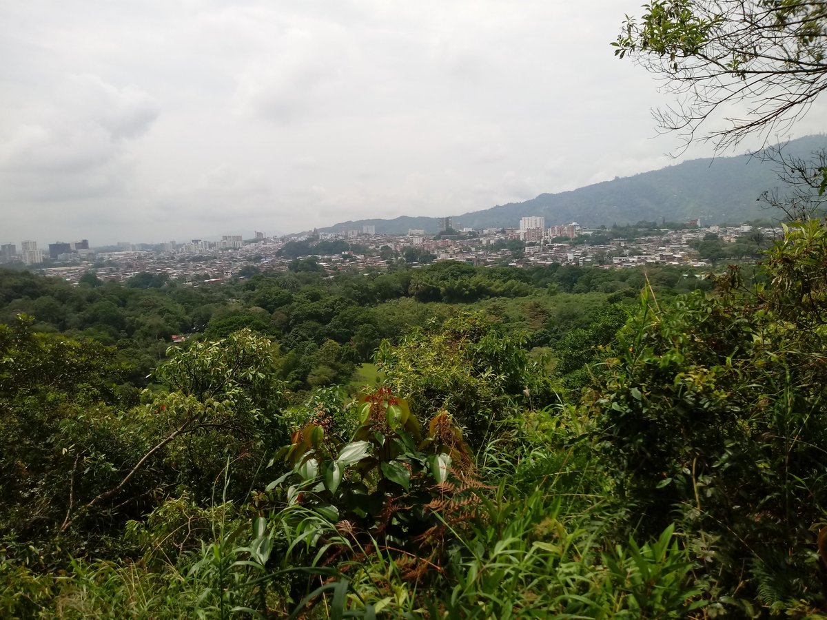 Cadena Ambiental UNAD tweet media