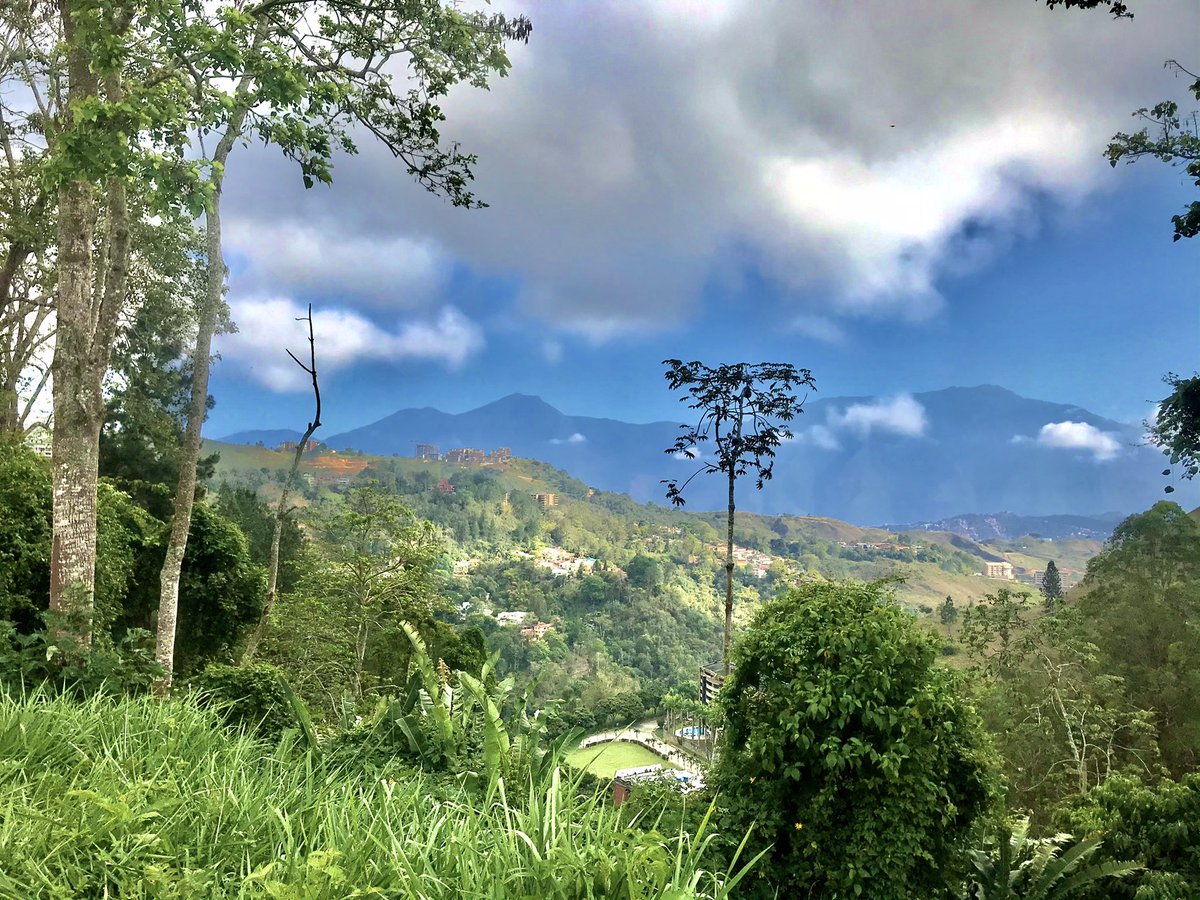 er_guille's tweet photo. Hay quienes tienen #elvolcan y otros la cumbre #caracas #avila #trainingday #run #running #6kms https://t.co/2cdgD3iuAG