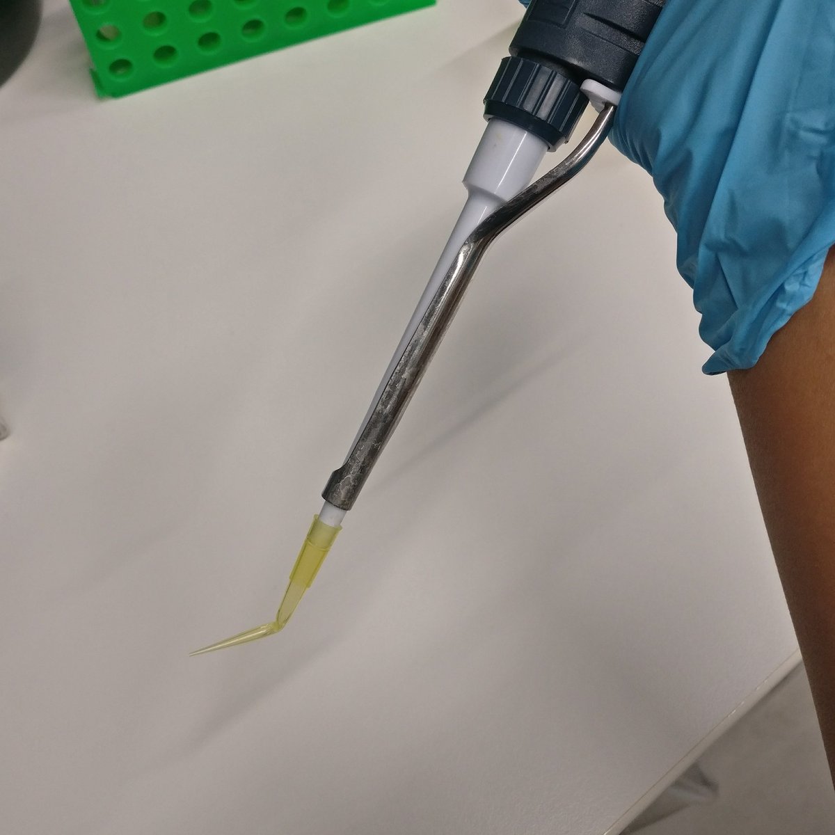 GovindShamitha's tweet photo. When you're plating bacteria and can't find a spreader just make one with your pipette tip 👌🏼🤓 https://t.co/uxvL69HKPv