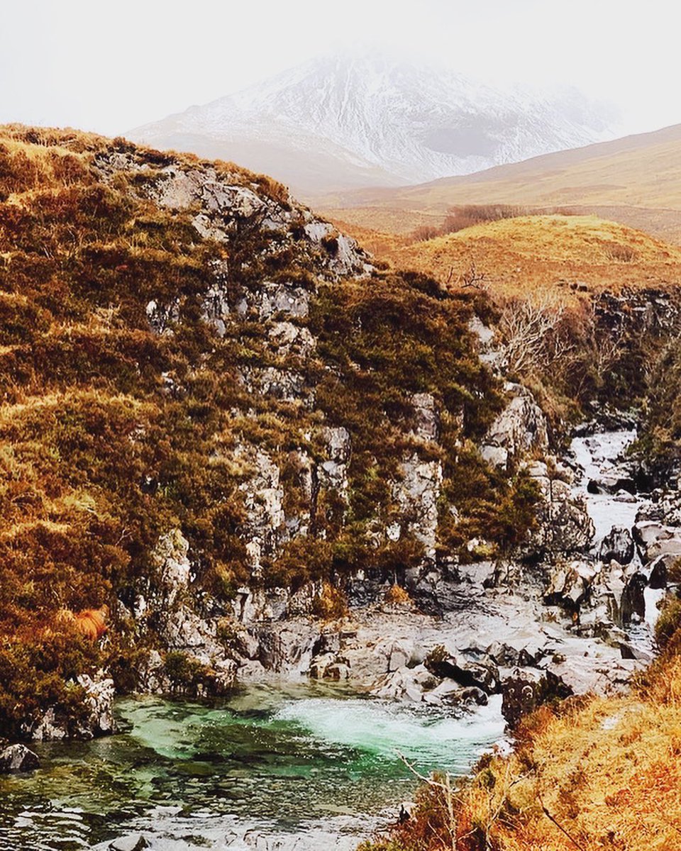 MizzouAbroad's tweet image. Happy Earth Day, Tigers! Let's take a moment to appreciate our beautiful globe on this day and every day. Images captured by @Mizzou students in Tanzania, Scotland and Italy!