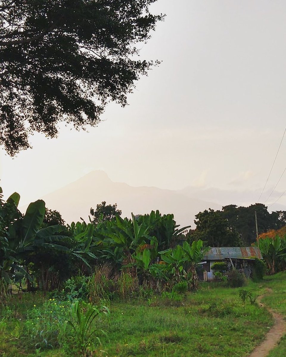 MizzouAbroad's tweet image. Happy Earth Day, Tigers! Let's take a moment to appreciate our beautiful globe on this day and every day. Images captured by @Mizzou students in Tanzania, Scotland and Italy!
