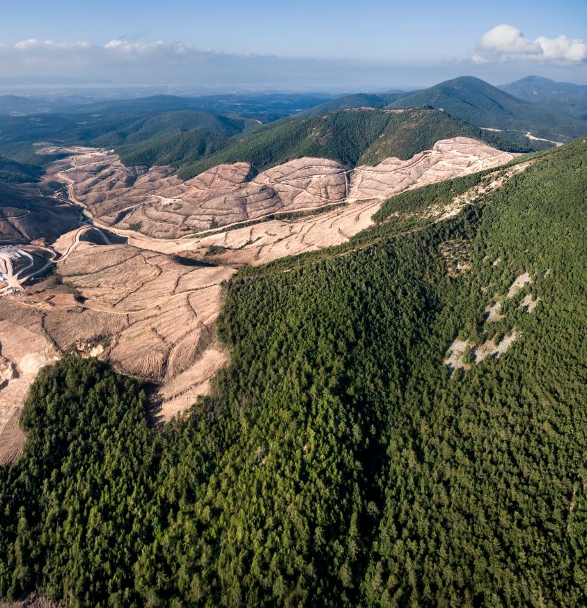 Today is #WorldEarthDay2021 – the theme this year is #RestoreOurEarth’ and our focus is to restore our planets forests - we offer all travelers to plant trees as they travel, offsetting their carbon footprint whilst re-wilding and protecting those trees.