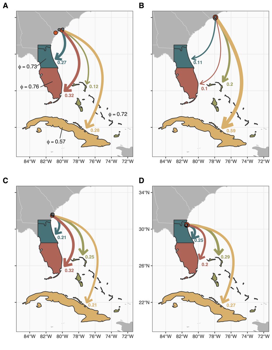 One cool side effect of the model is that we also get estimates of regional survival for birds going to different wintering areas. For PABU, our data indicate that males wintering in Cuba have nearly 20% lower apparent survival than birds wintering in FL or Bahamas
