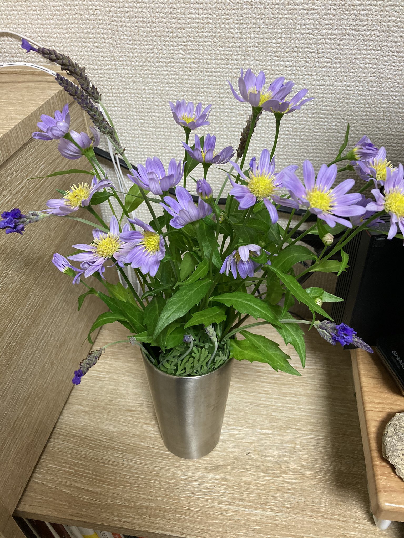تويتر 豊島晴香 على تويتر うたの先生のお庭のお花 可愛い可愛い言っていたらお母様が花束にして持たせてくれた ミヤコワスレとラベンダー かわいすぎ T Co Vqagu0stno