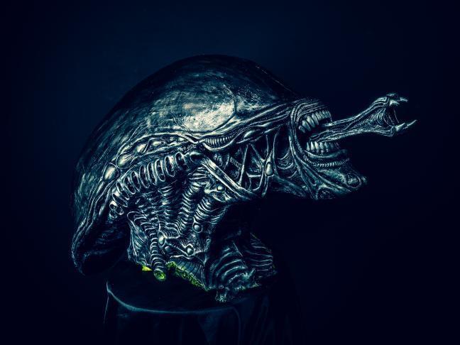 RAMaterials's tweet photo. Check out this sweet Xenomorph 3D target made by @monstertargetsofficial! Cast with Econ™ 60, Smooth-Cast™ 65 D and Foam-iT!™ 8!
#ramaterials #smoothon #propmaking #replicas #3Dtarget #xenomorph #alien https://t.co/2ZwPKWNM8n