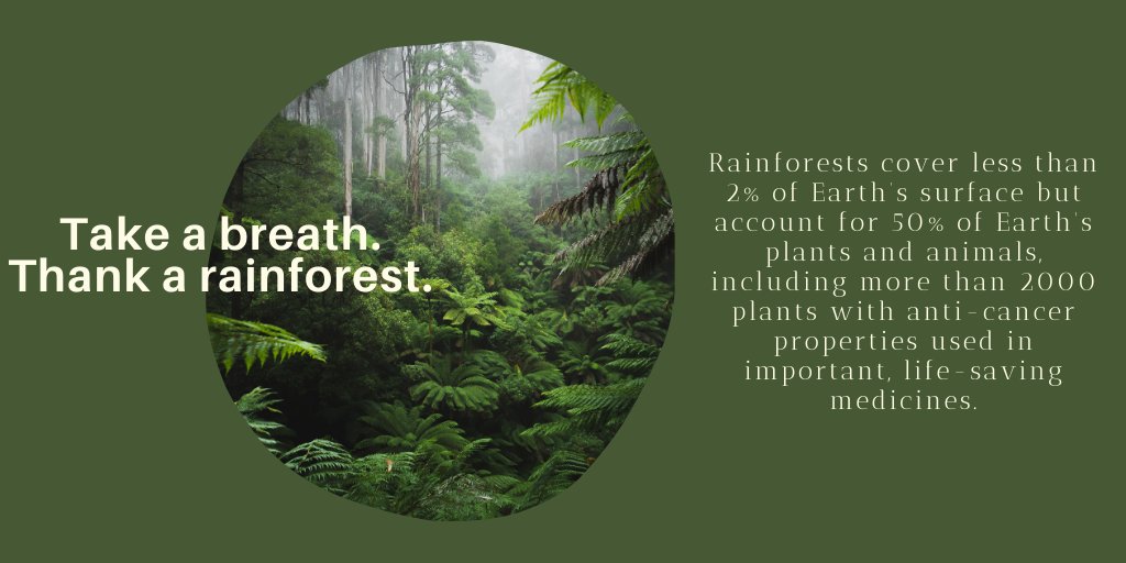 Our planet is amazing! Let's protect it and its wonders. #EarthDay2021